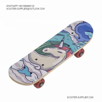 Adult Long Board Skateboard1705