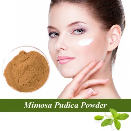 Mimosa Powder for Sale