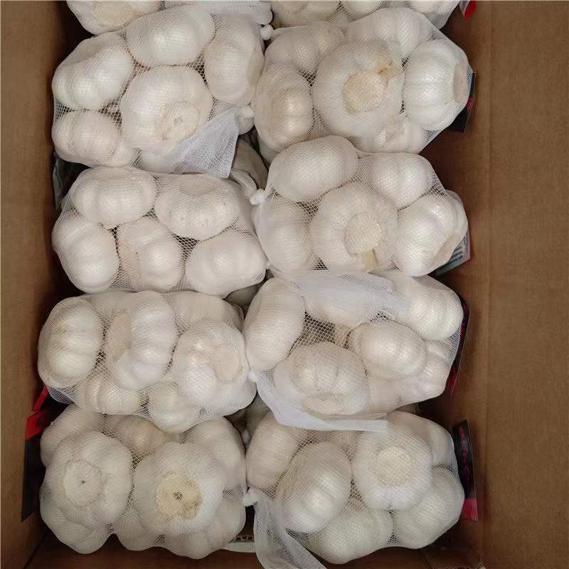 Pure white garlic 5.0-5.5cm