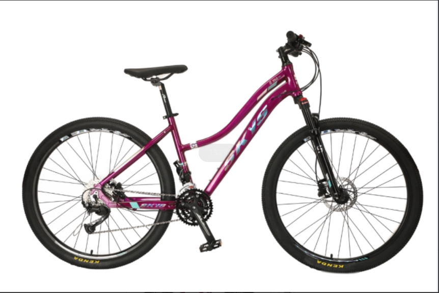 TW-69 27.5 "AL AL ​​ALEAY BIKE