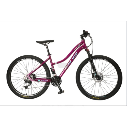 TW-69 27,5 "AL LIGOLOTEL FROCT Bike