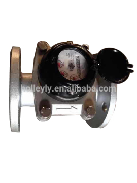 Stainless Steel 304 Water Meter