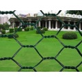 hexagonal Chicken Wire Mesh/pvc Coated Hexagonal Wire Mesh