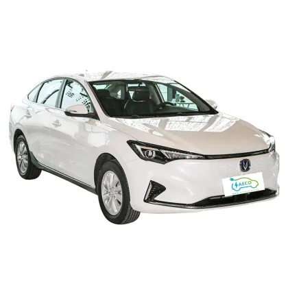 2024 E Star Yidong EV: Brand New Electric Car