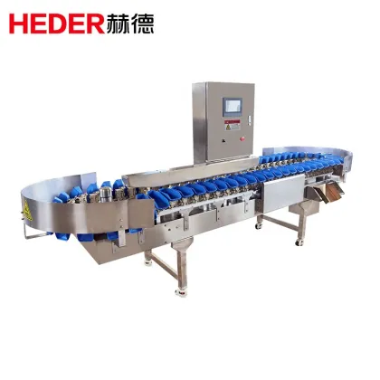 Kiwi Fruit and Vegetable Weight Sorting Grading Machines