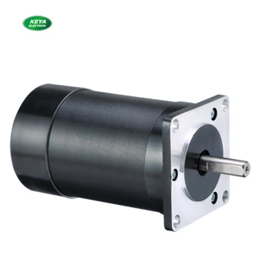 60W Dc Gear Motor -NINGBO LEISON MOTOR CO LTD