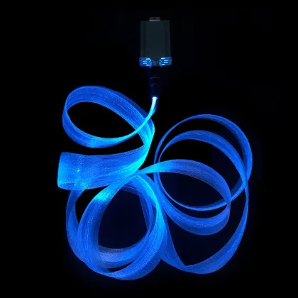 Outdoor Led fiber optic lighting