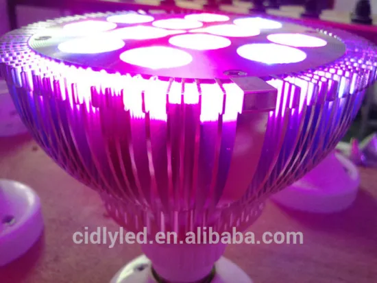 2015 Hot Sale LED Grow Light E27 Par 38 growroom small power lamp