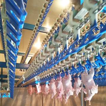 Poultry abattoir slaughtering equipment