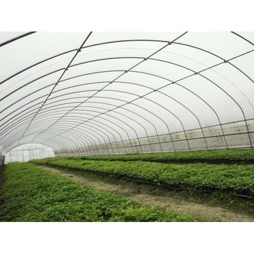 Standard Single Span Film Shelter