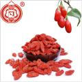 Goji conventionnel de Goji Berry 380 B séché