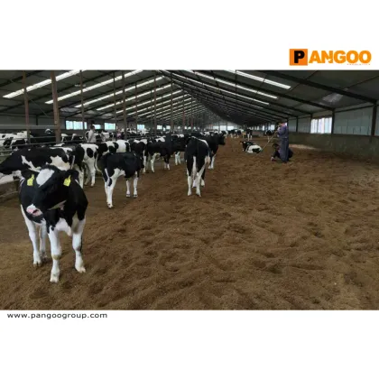 A-F1 PANGOO BIOBED Probiotic Deep litter