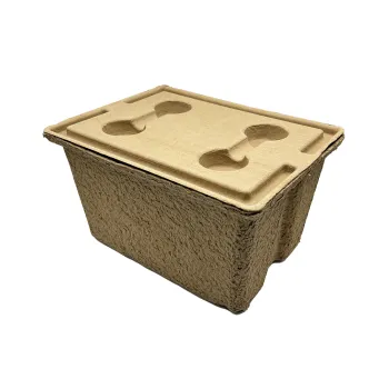 Wholesale Biodegradable Pulp Storage Boxes with Lid for Picnic Packaging