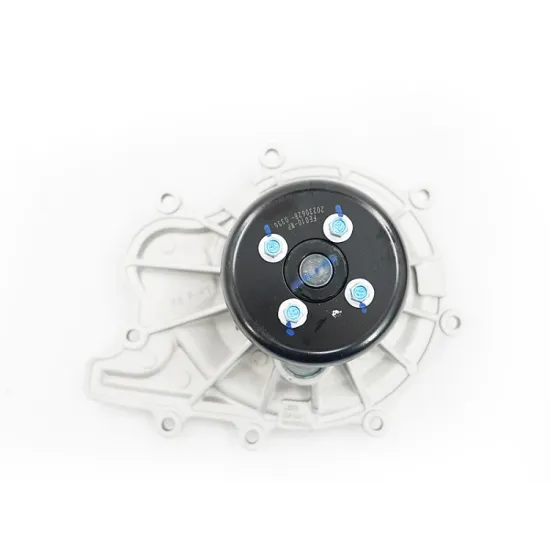 Affordable Water Pump Set with Engine Parts: 1041100FE010