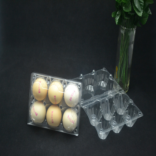 Plastic Egg Tray For 6 Holes