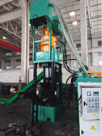 Professional Hydraulic Briquetting Press