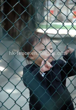 wholesale PVC coated chain link fence factory