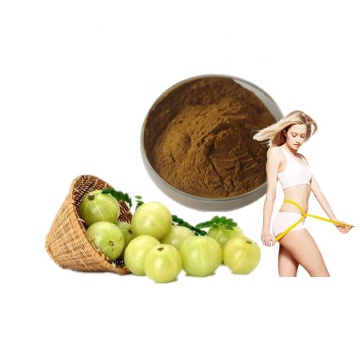 High Quality Amla Extract 30%~40% Polyphenol