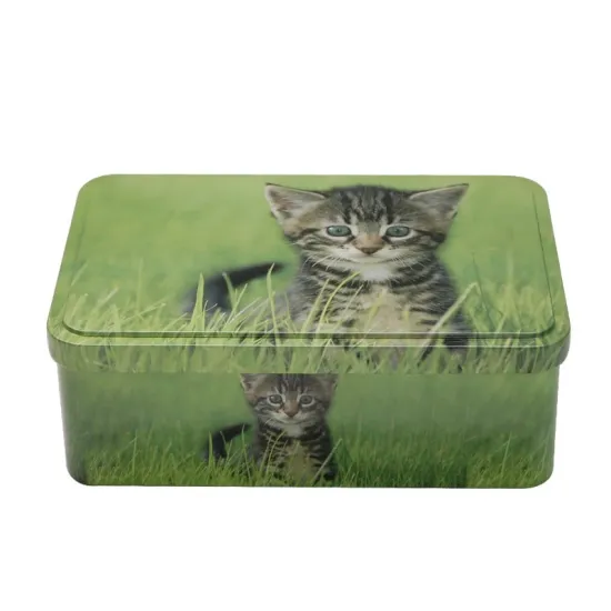 pet cat food packaging tin box with custom design