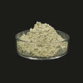 Pure Natural Garlic Extract Allicin Powder