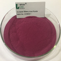 European Bilberry Extract Whortleberry Anthocyanidins