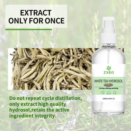 organic White Tea Hydrosol mist spray for skin care