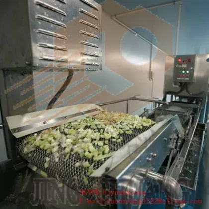 Industrial Vegetable Washing Machine/Vegetable And Fruit Washing Machine