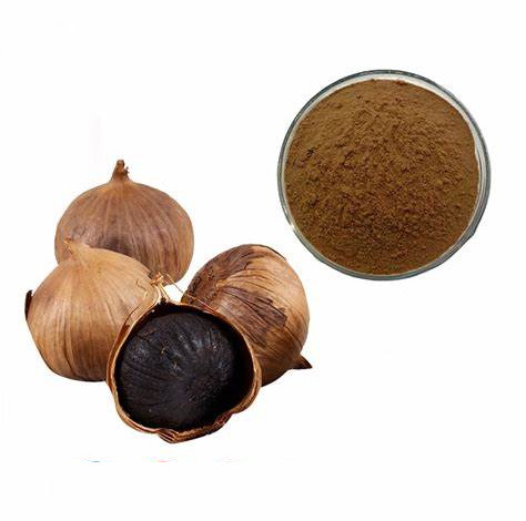 benefits of black garlic extract