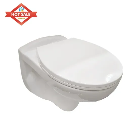 Wall Hung Toilet Bowl