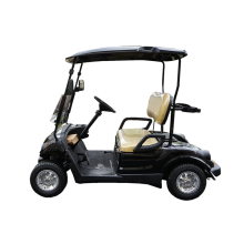 2 seater 150cc samll petrol engine golf cart