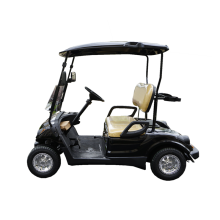 Carrello da golf con motore a benzina Samll 150cc a 2 posti