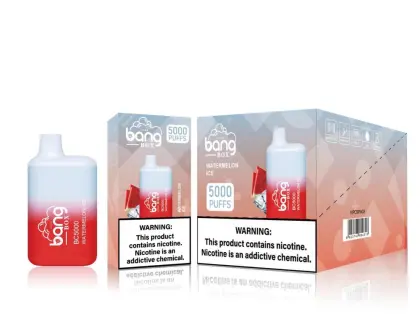 Bang BC 5000PUFFS Wholesale Disposable Vape