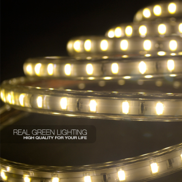 CE&RoHS Listed ! IP67 220V SMD 5730 LED Flexible Strip Light
