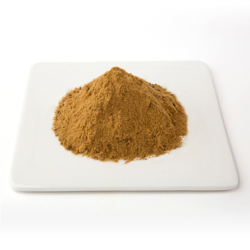Hot Selling extract Weight loss African Mango seed extract powder Manufactory