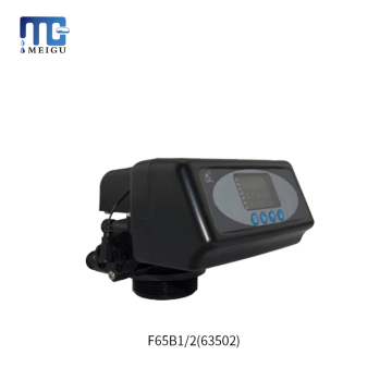صمام التحكم في مطهر المياه التلقائي: Runxin F65B1/2 (63502) - صمامات التحكم الوظيفية المتعددة