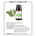 Wholesale Natural Mugwort Fragrance Essential Oil