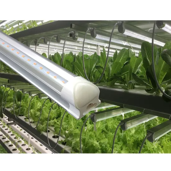18W 24W T8 LED Full Spectrum Grow Tube Light for Greenhouse Hydroponic Horticulture