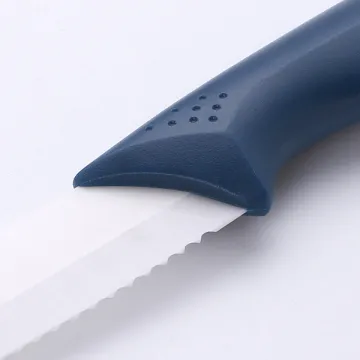 Household Steak Knife 4 Inch Ceramic Knife