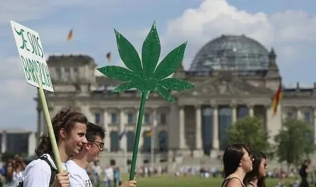 Germany cannabis grow light