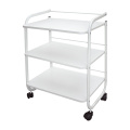 Unistrut Salon Trolley System