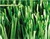football pitch, synthetic grass. world cup