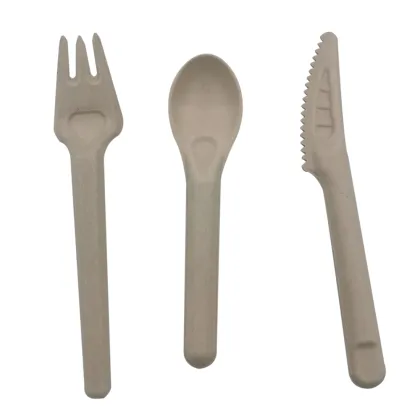 100% Compostable Sugar Cane Fiber Food Spoon Dinnerware