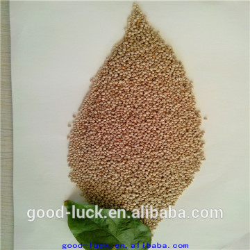white color perilla seed for bird feed