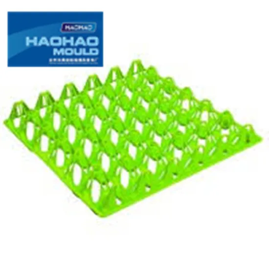 high quality injection Egg Tray mould