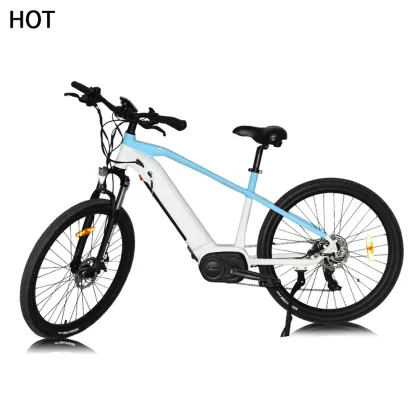 350W Motor Wheel Lankeleisi G650 Carbon 48V Kit Electric Bicycle