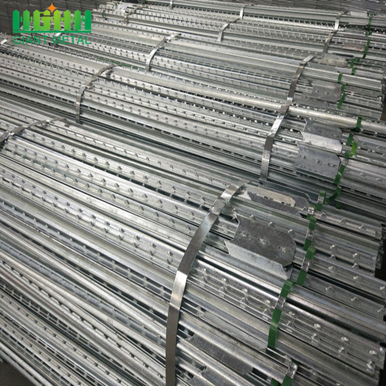 Used Hot Dipped Galvanized T Post For Farm
