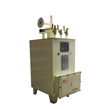 Explosion-Proof Gas Gasifier - 100kg/h Capacity, 400mm Diameter, DN25, 100kg Output, Floor-Standing Design