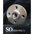 Forged Stainless Steel Slip On Flange