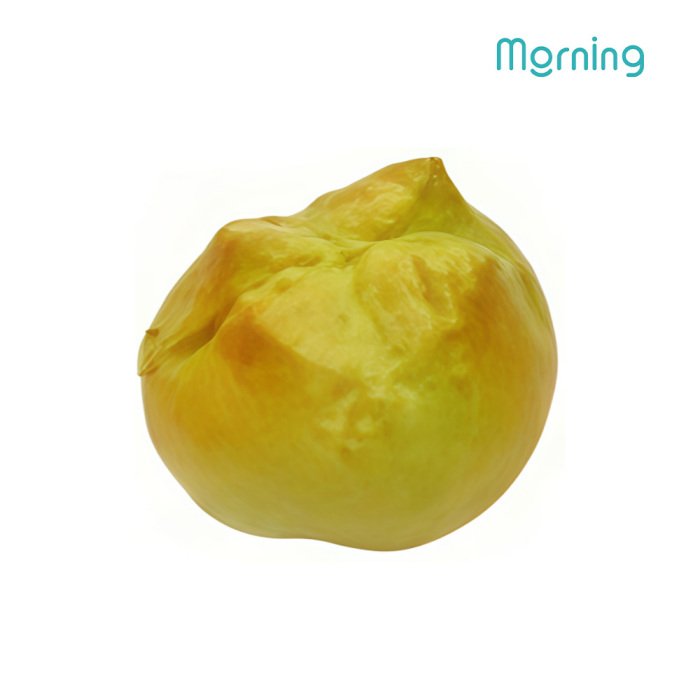 ক্রাস্টি ব্রেড রোল পিইউ ফোম স্লো রিবাউন্ড টয়