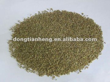 Chinese Cumin seeds